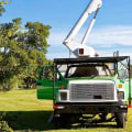 Do tree removal companies need to be licensed in florida?
