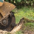 Do tree removal companies remove stumps?