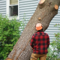 The Benefits of Professional Tree Removal Services