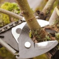 What tools does a tree trimmer need?