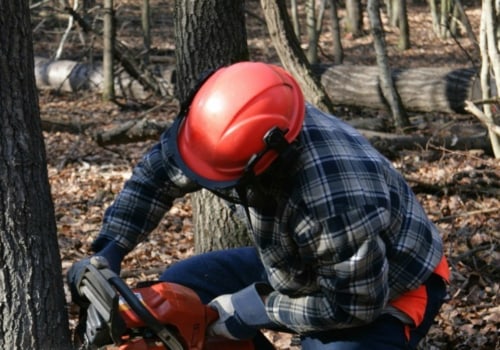 What do you call someone who cuts down trees for a living?