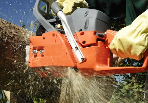 Removal of trees near me?