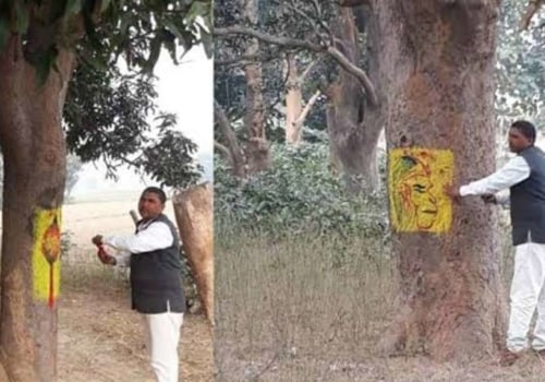 How to stop tree removal?